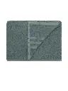 e2ebb975-63da-493c-b96e-b89ac04f48091694245871135TRIDENTBrown400GSMPure-CottonBathTowels2.webp